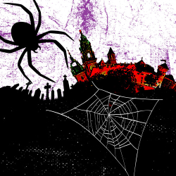Black_Spider_500x500