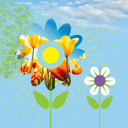 Chorus_Spr24_500x500