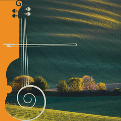 Thumbnail-COMSO-Fall2022