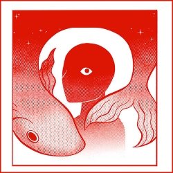 Miracle Fish