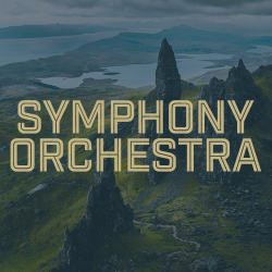 Symphony Orchestra