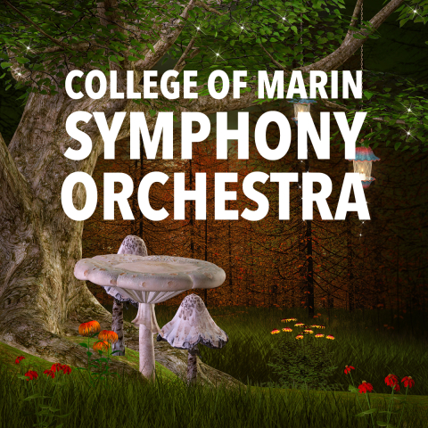 COMSO-Fall-2023-thumbnail