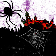 Black_Spider_500x500