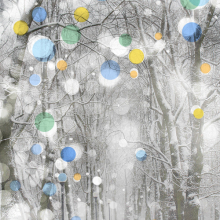 Thumbnail-CCCS-F2022